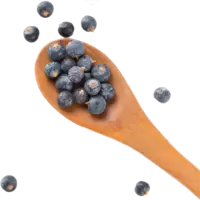 Salvia: pentru bunăstarea gâtului Salvia: pentru bunăstarea gâtului