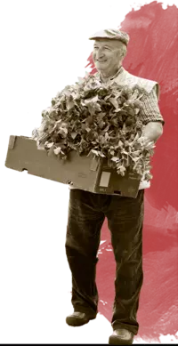 De ce produsele noastre nu se regăsesc pe rafturile marilor multi-nationale?